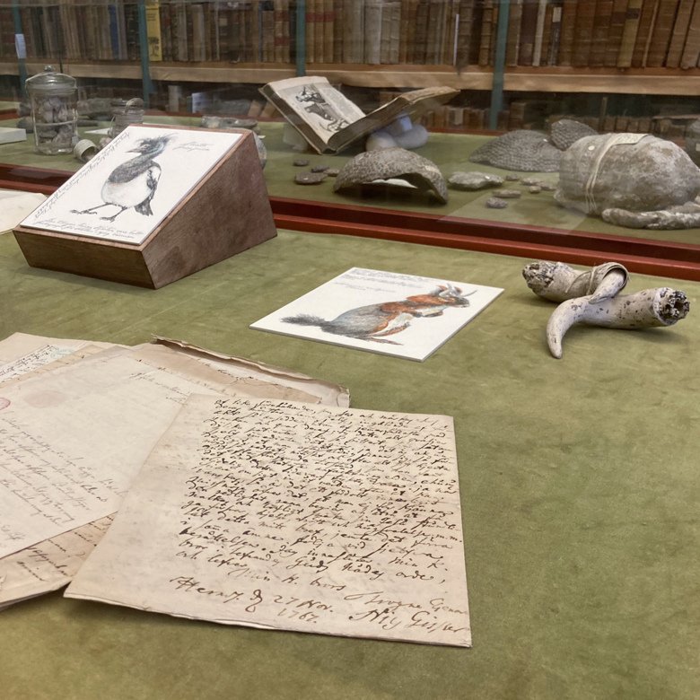 Jonas Falck - among boulders and horizons - Exhibition by Ida Rödén at the Hagströmer Library