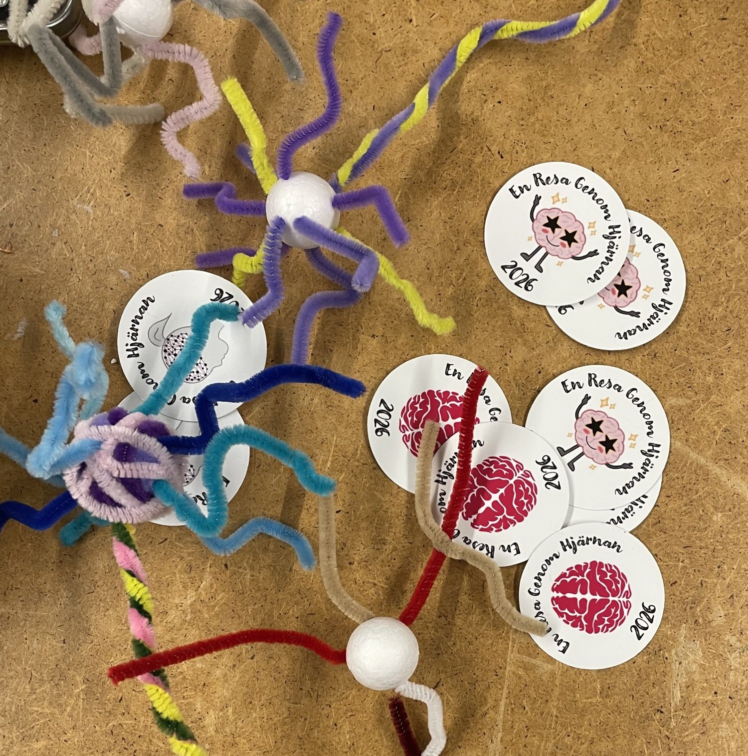 Handcrafted neurons on a table with stickers reading “En resa genom hjärnan”.
