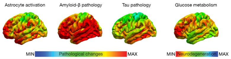 invivo