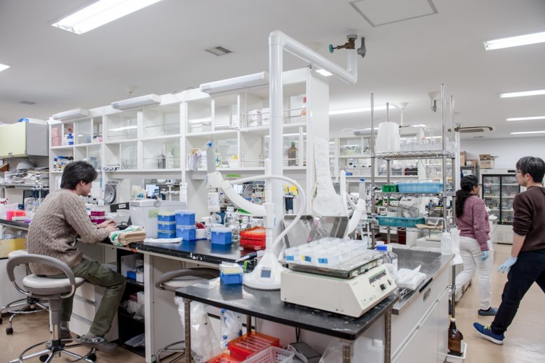 Lab environment with shelves, desks, equipment and researchers.