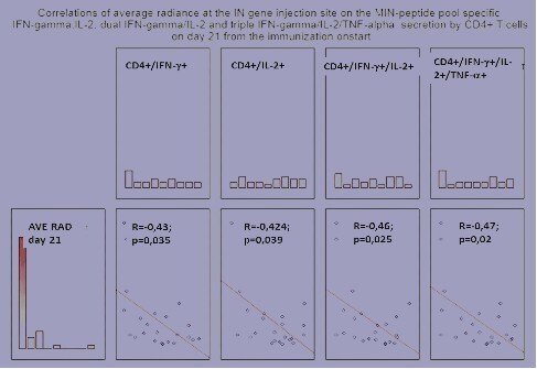 Illustration In vivo omaging technique can monitor both the delivery of gene immunogens and the development of specific immune response.