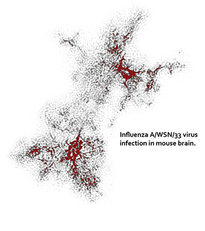 Illustration of Karlsson laboratory research focus