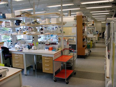 Picture of Klas Kärre lab