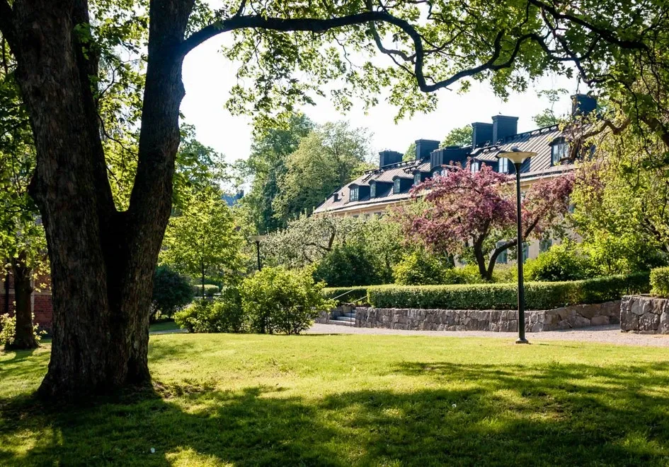 Bild på en park i Stockholm under sommaren