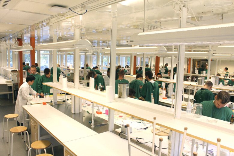 Students working in the lab