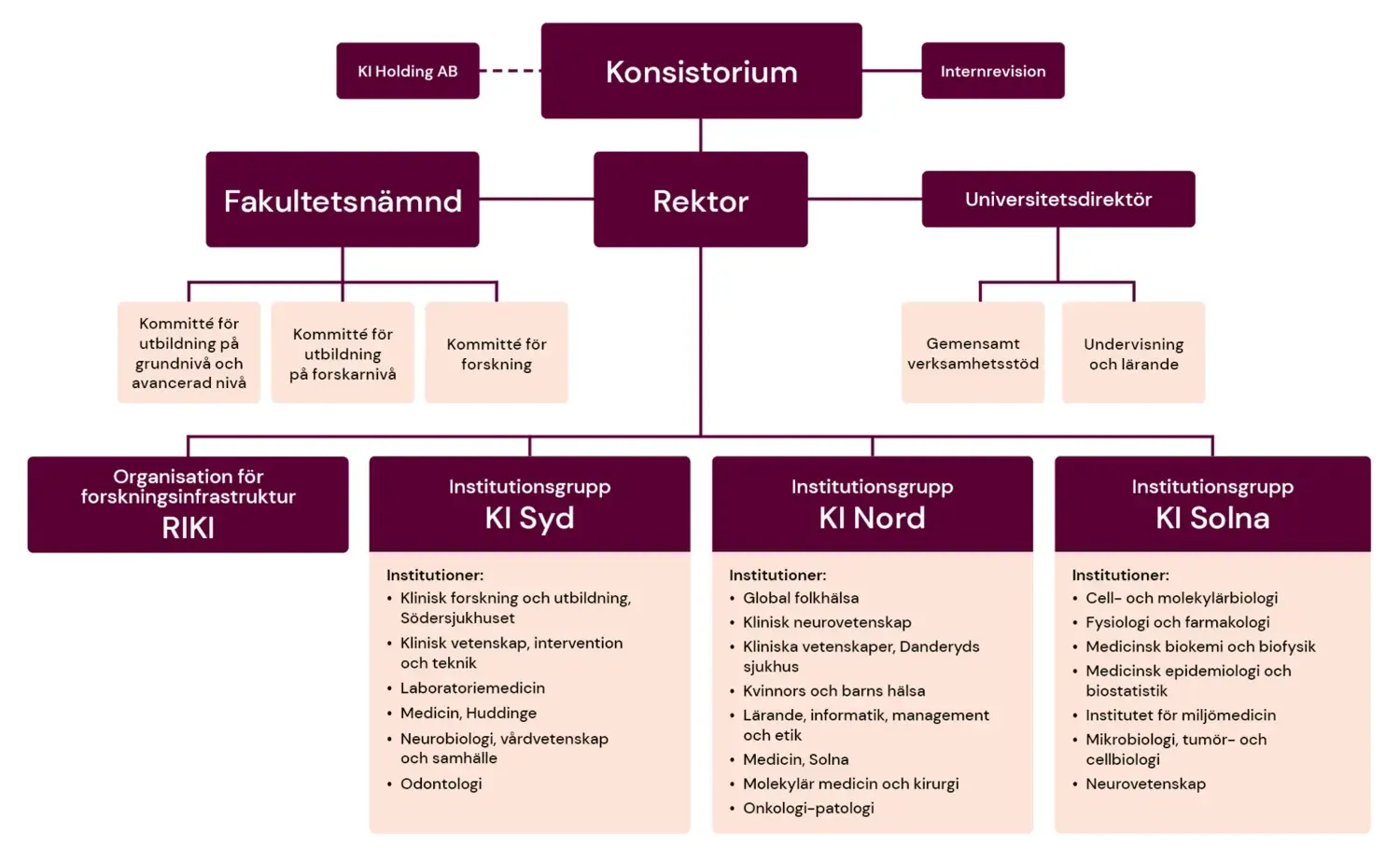 Organisationsskiss KI
