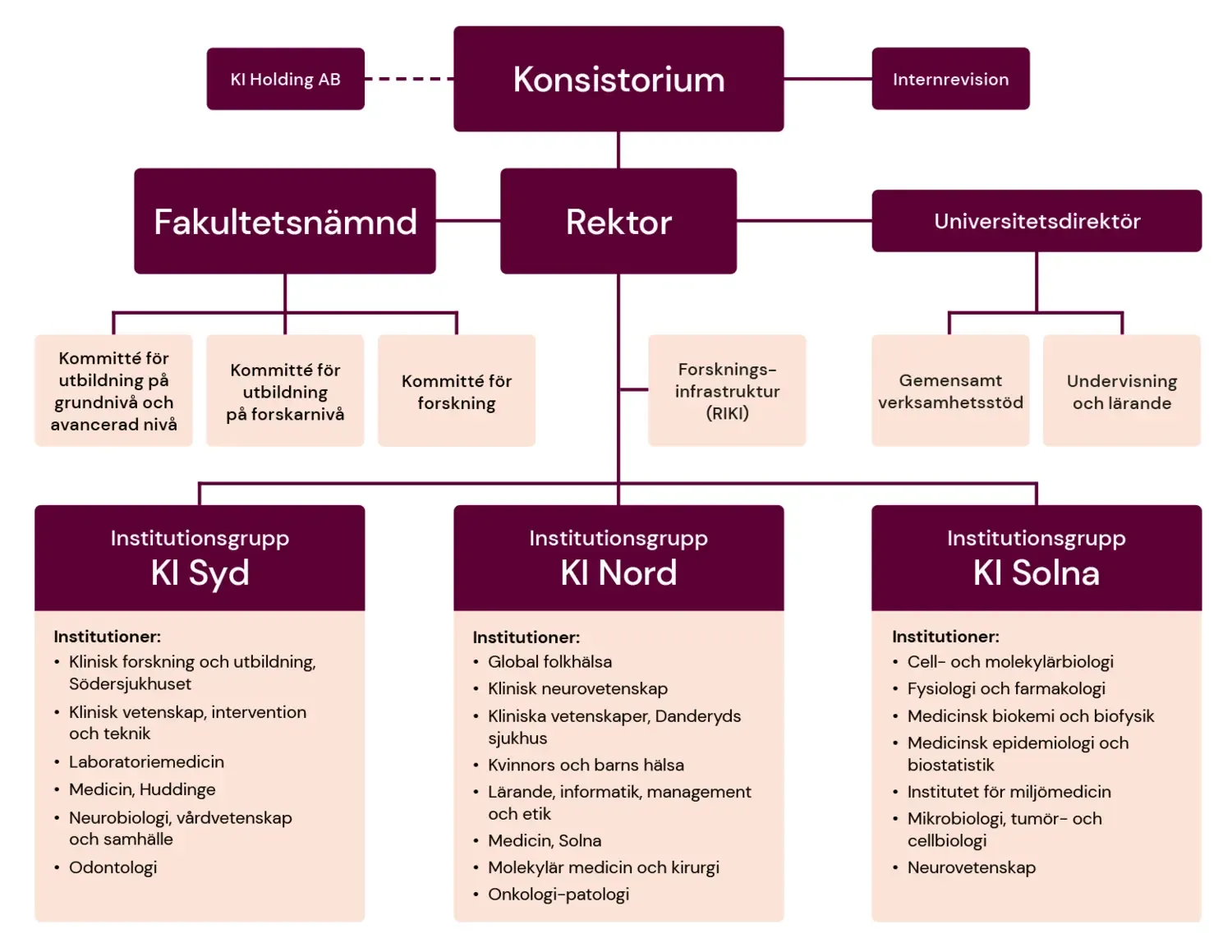 Organisationsskiss KI