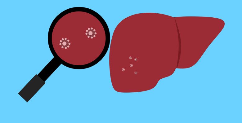 Illustration av en lever och ett förstoringsglas, visar hepatit c-smitta.