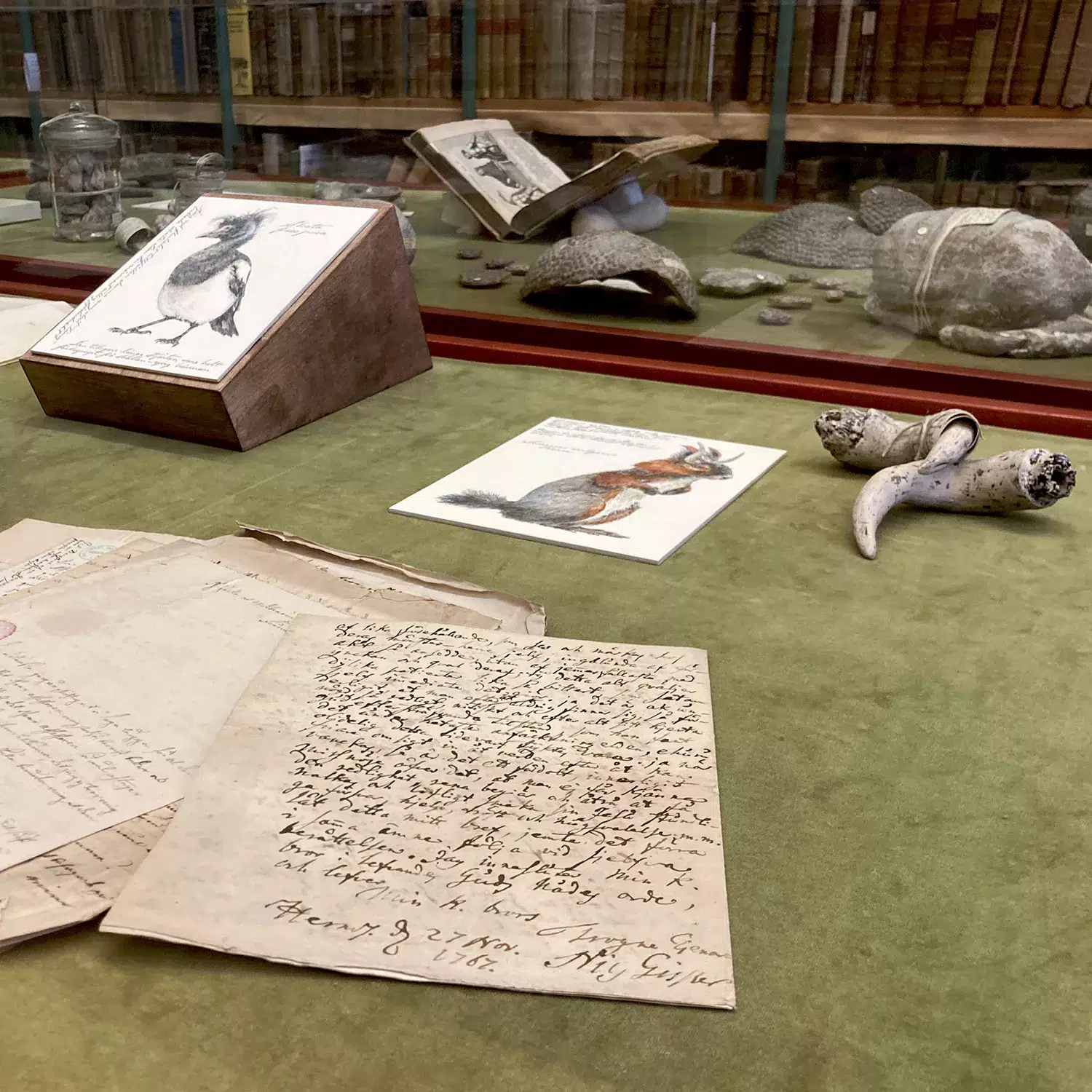 Old medical collections of texts and animals.