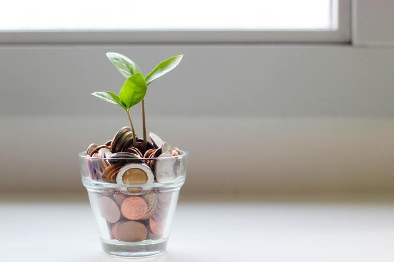 Plant in a glass with coins