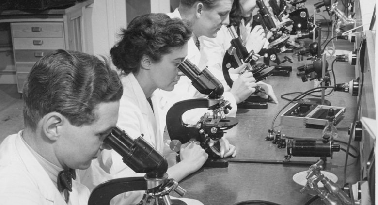 A row of researchers looking through their microscopes.