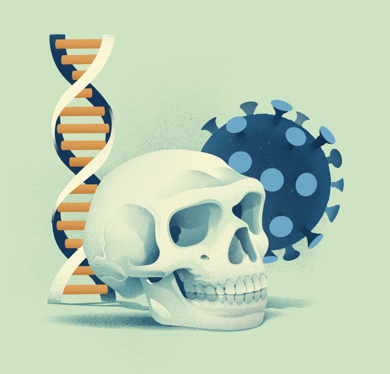 Illustration showing a Neandertal skull, a DNA strand and a coronavirus