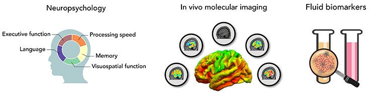 neuro invivo fluid