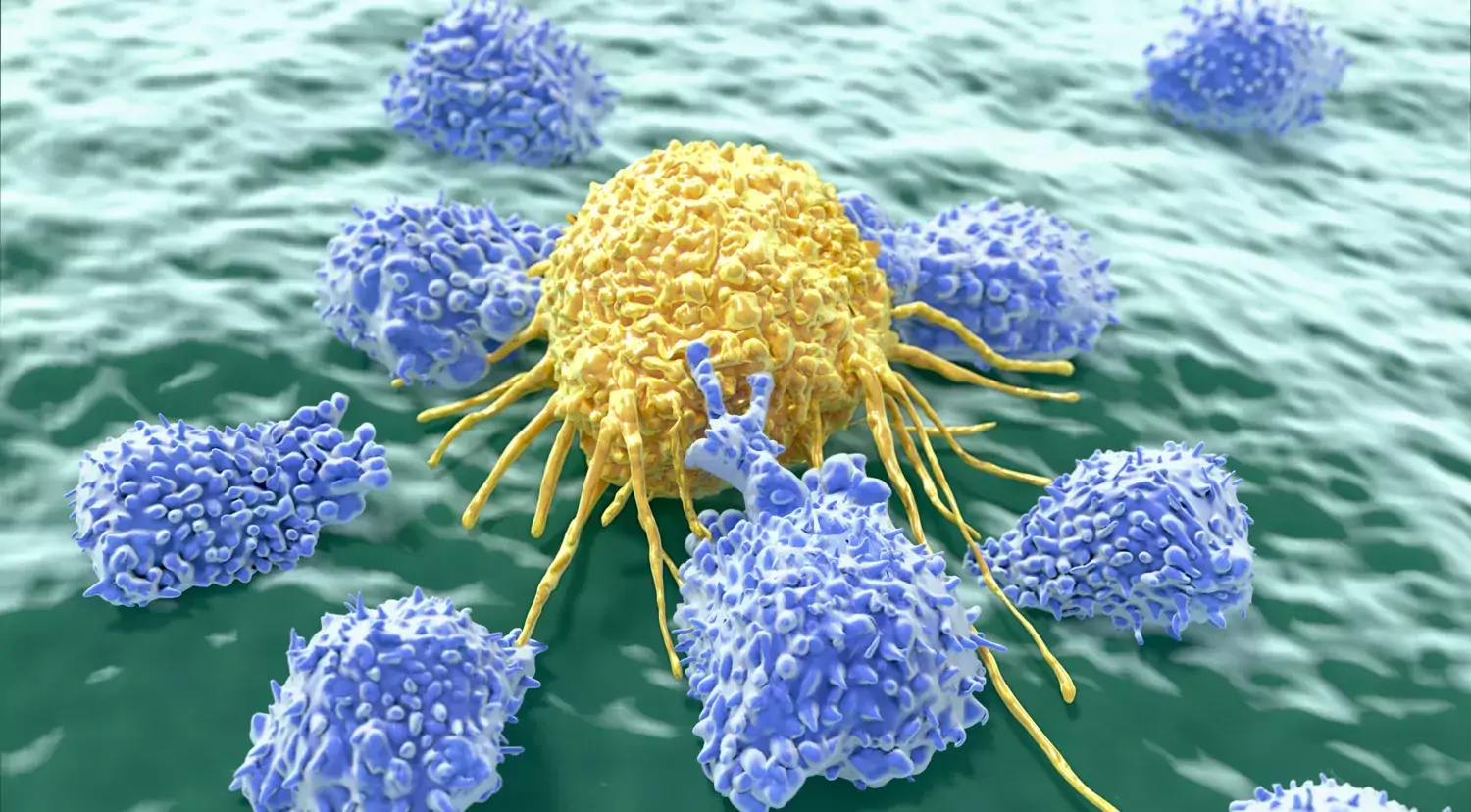 Illustration of NK cells.