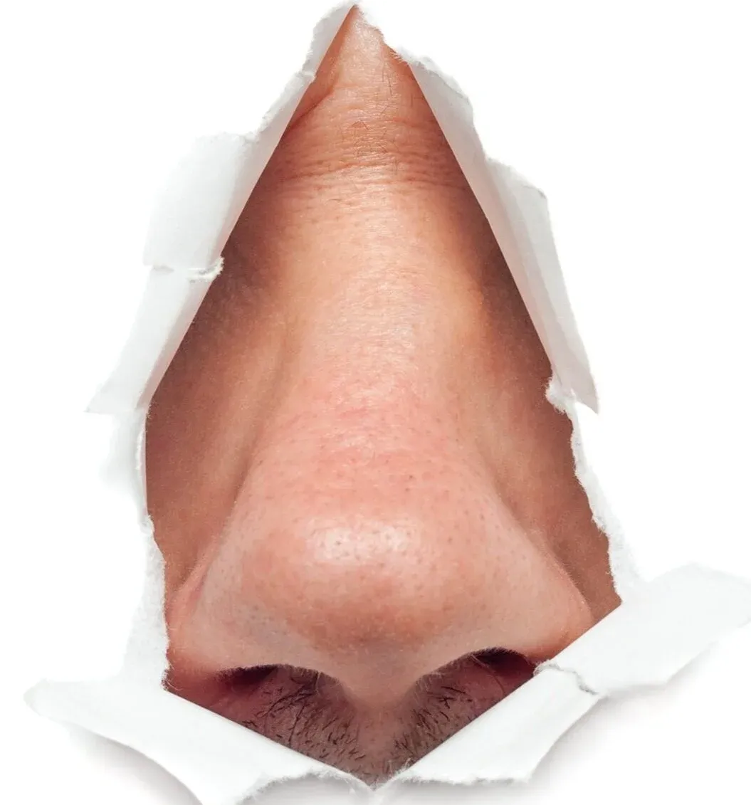 nose