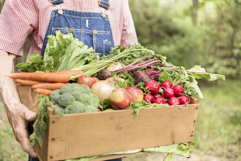 Organic vegetables, credit: iStockphoto.