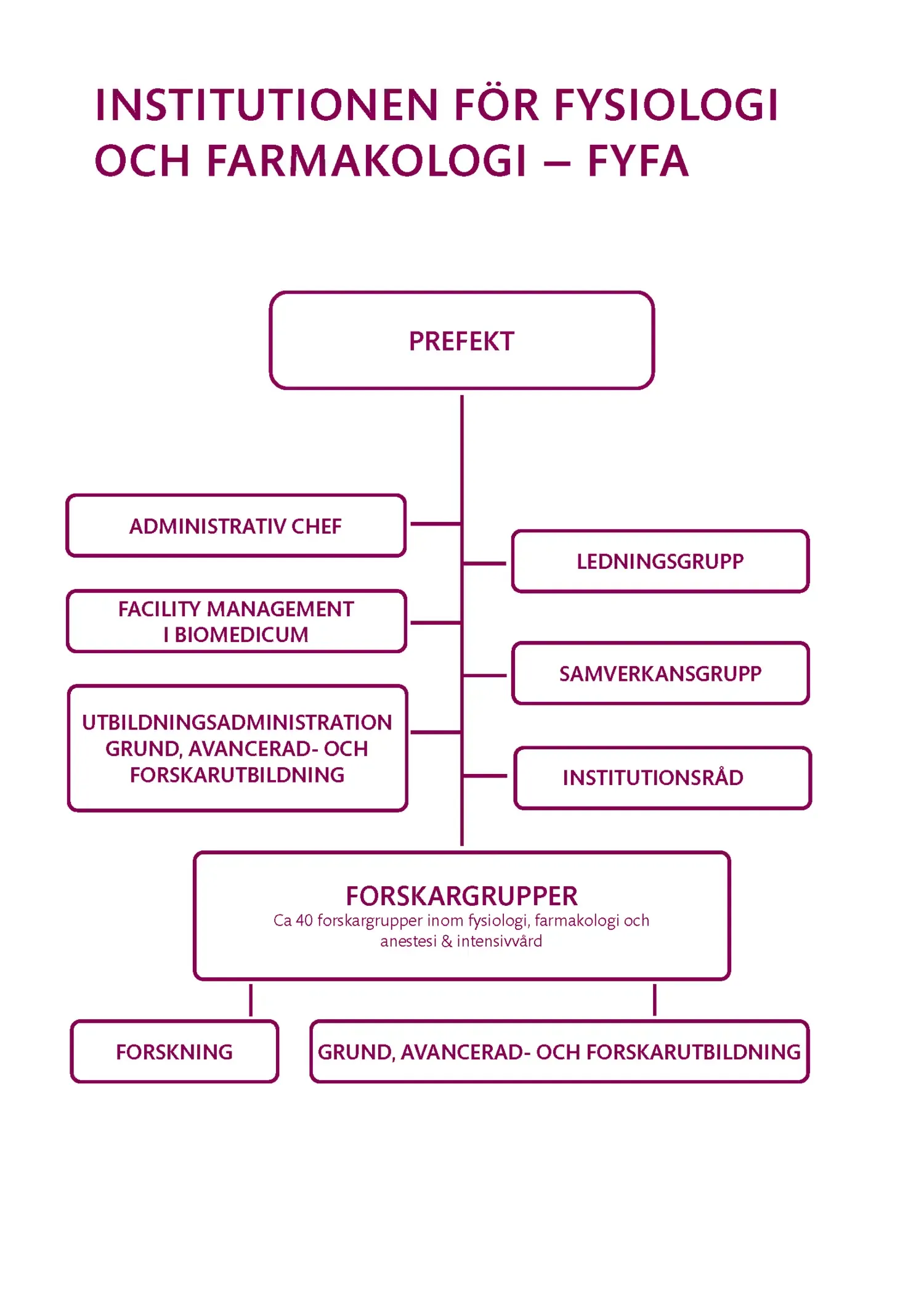 Illustration av FyFas Organisationsschema