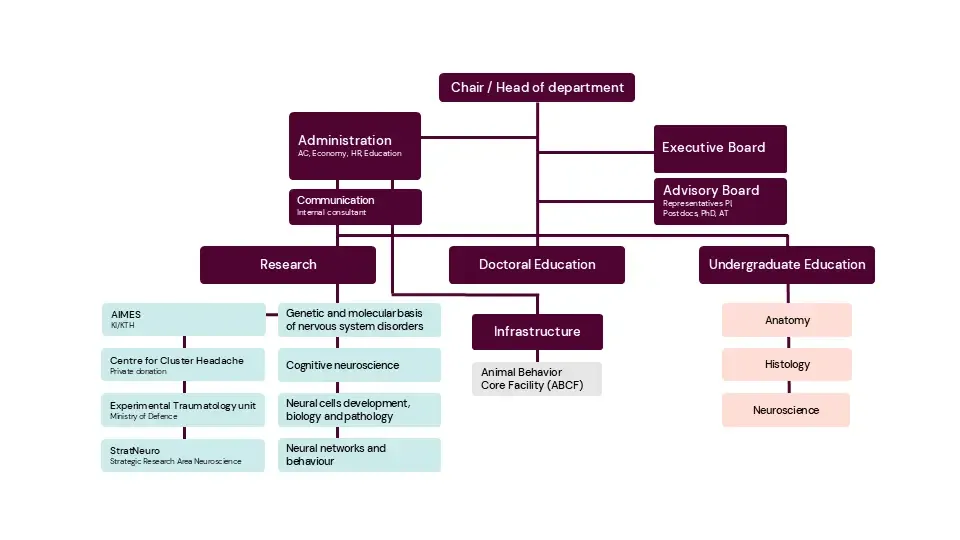 Organisational chart 2025-2026, NEURO, in English