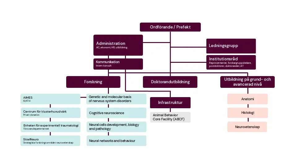 Organisationsschema 2025-2026, NEURO, på svenska