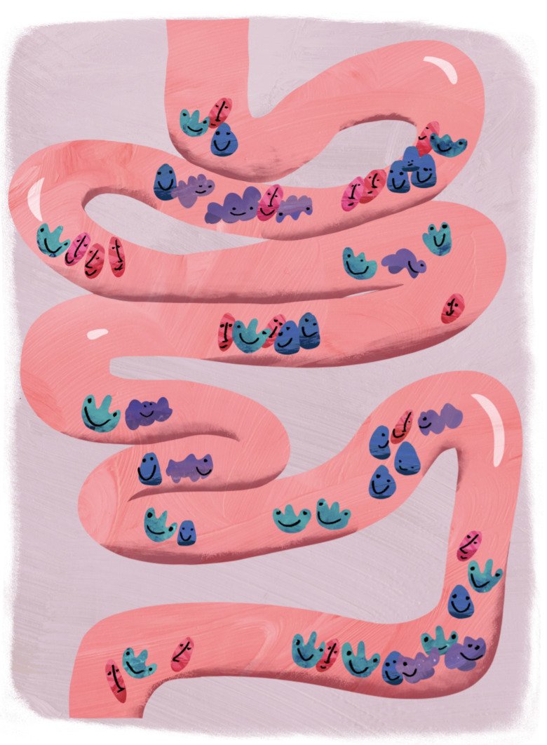 Illustration of intestinal bacteria.