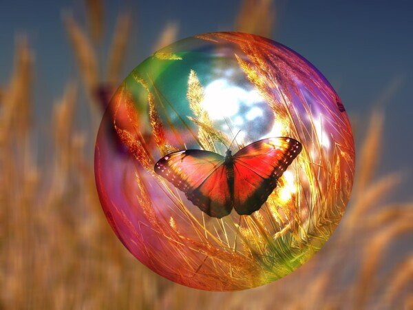 Image of a butterfly in a soap bubble.