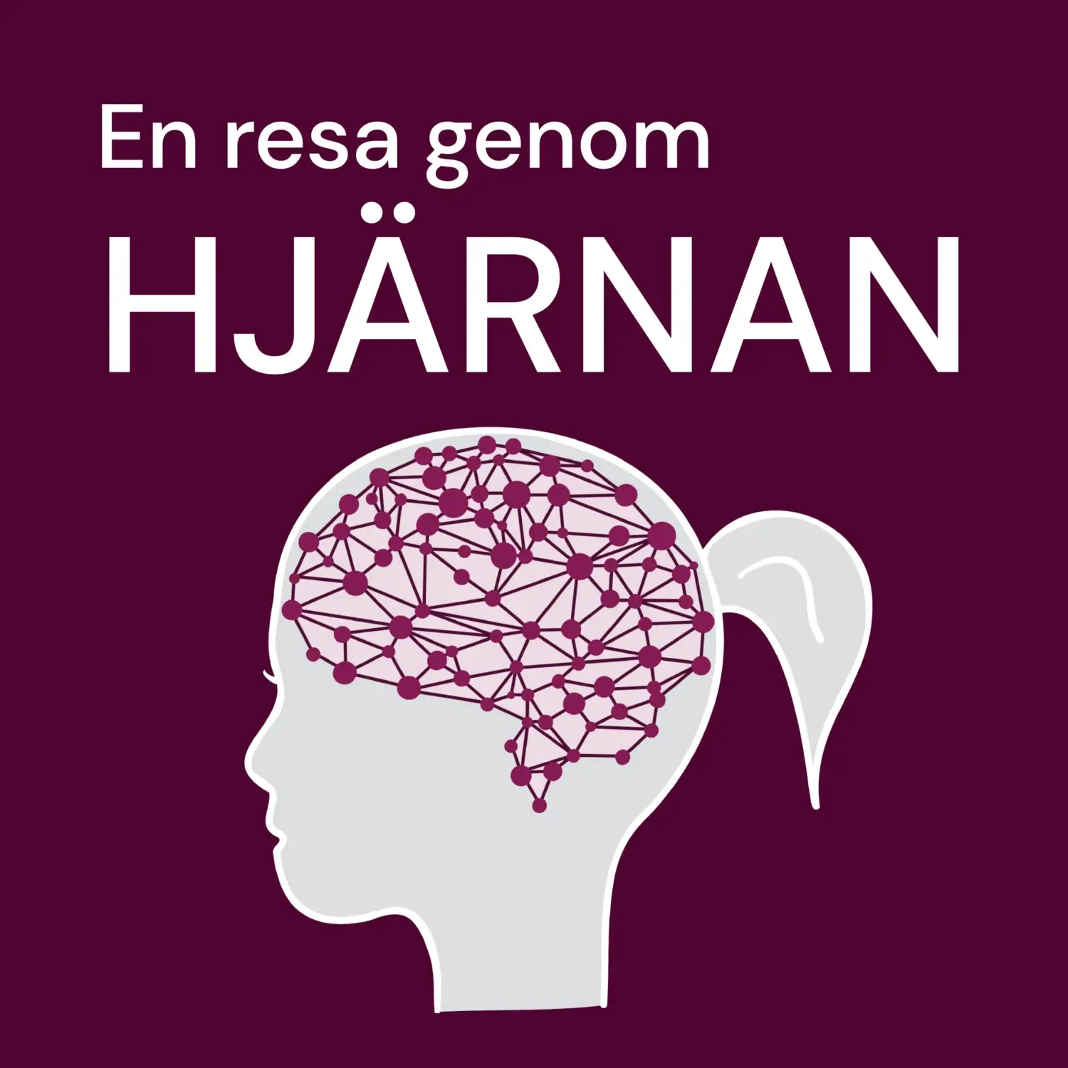 en resa genom hjärnan