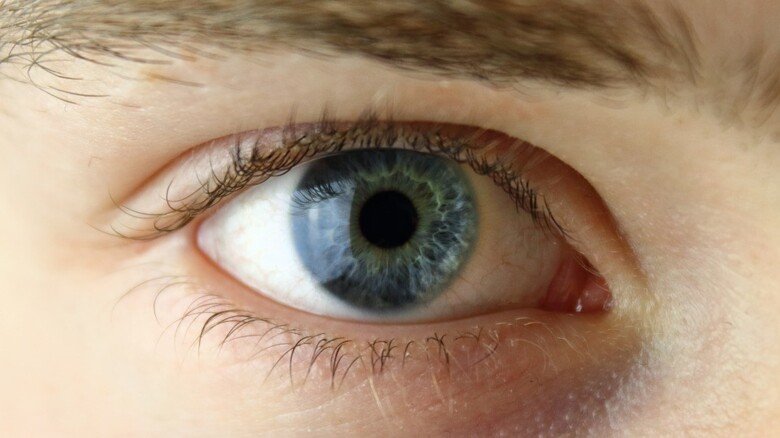 Image of an eye.