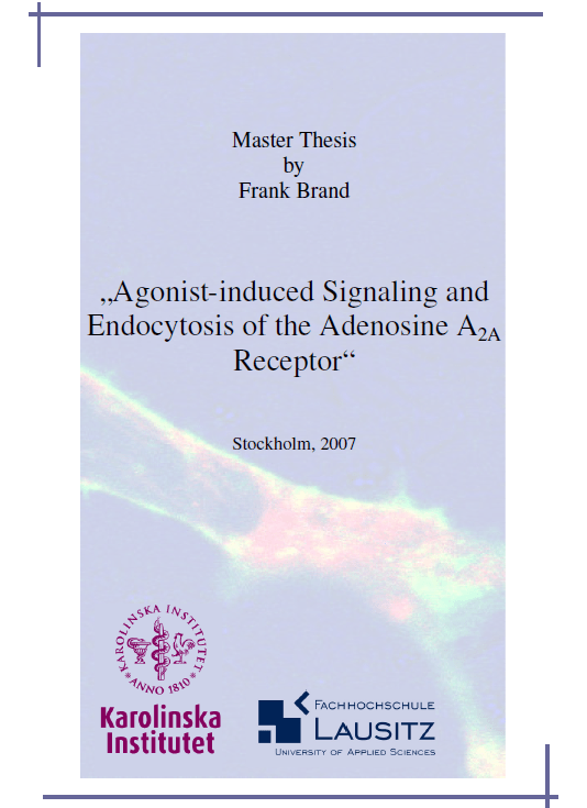 doctoral thesis covers