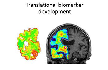 translational molecular imaging lab