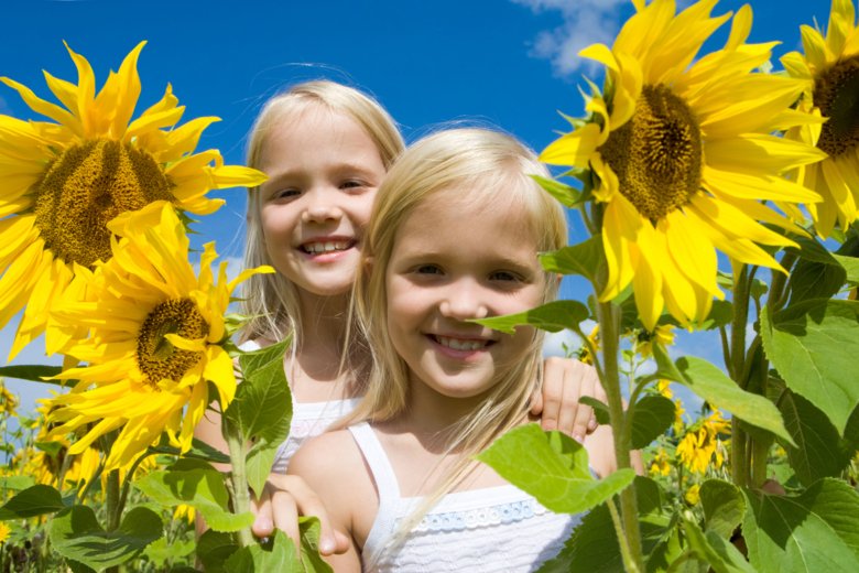 Twin girls in a field of sunflowers