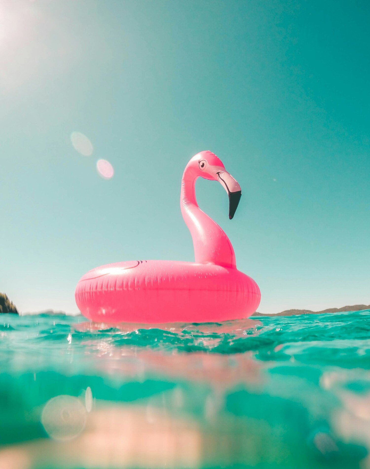 Swimmingpool toy shaped as a pink flamingo.