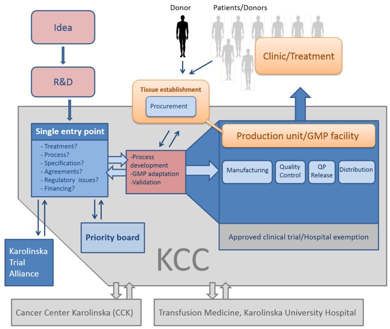 Illustration of workflow for KCC/Vecura.