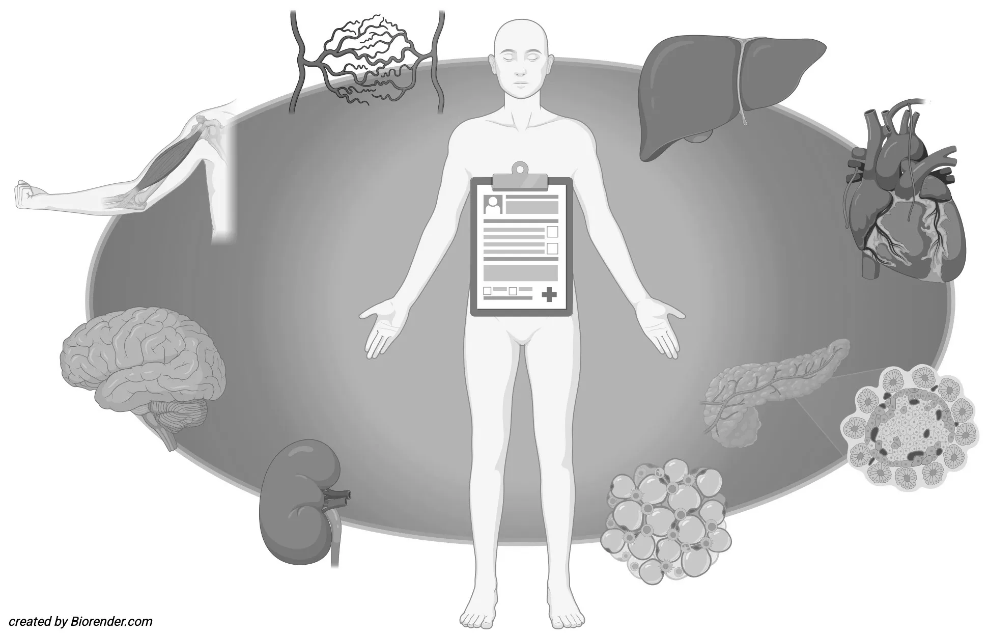 Animation with the silhouette of a human body in the centre, surrounded by various organs.