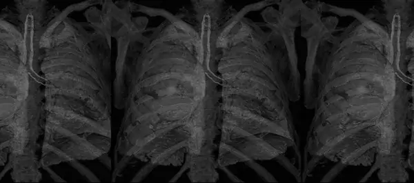 Division of Functional Imaging and Technology