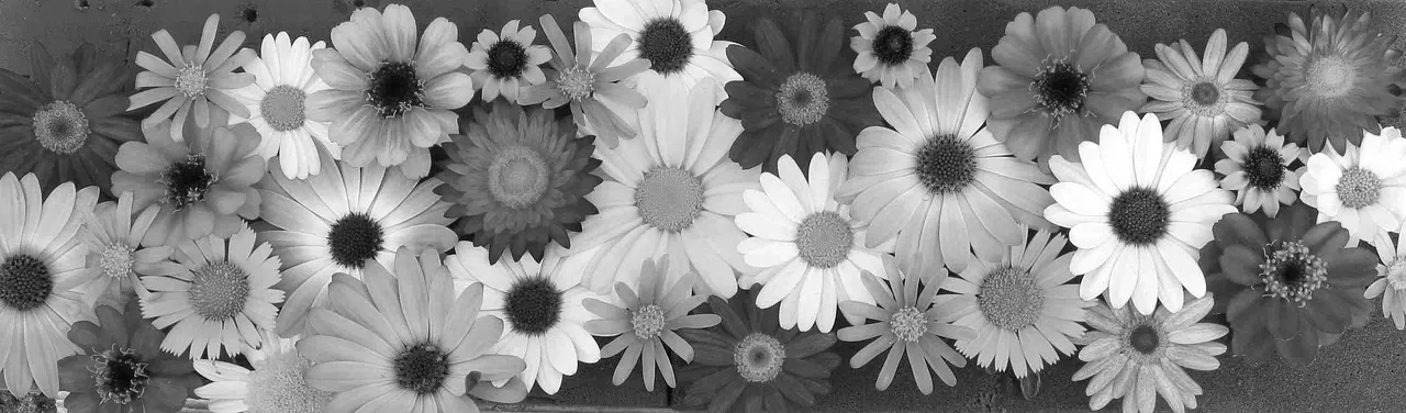 Blommor