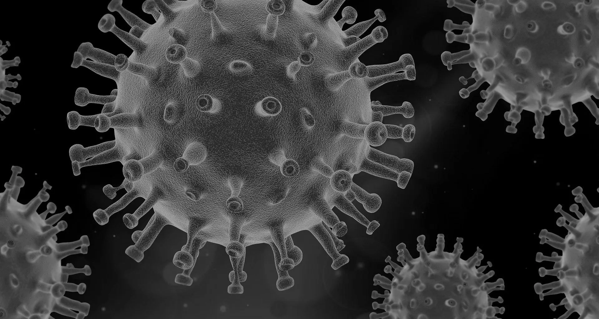 Photo of corona virus