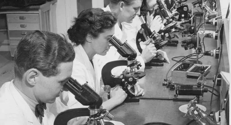 A row of researchers looking through their microscopes.