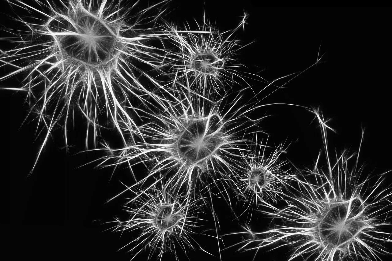 several brain cells illustrated on a dark background.
