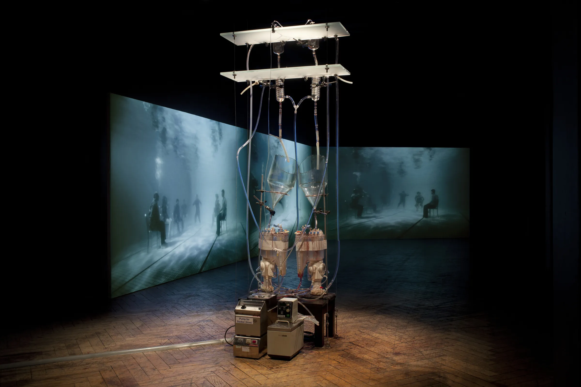 The Body is a Big Place av Helen Pynor och Peta Clancy.