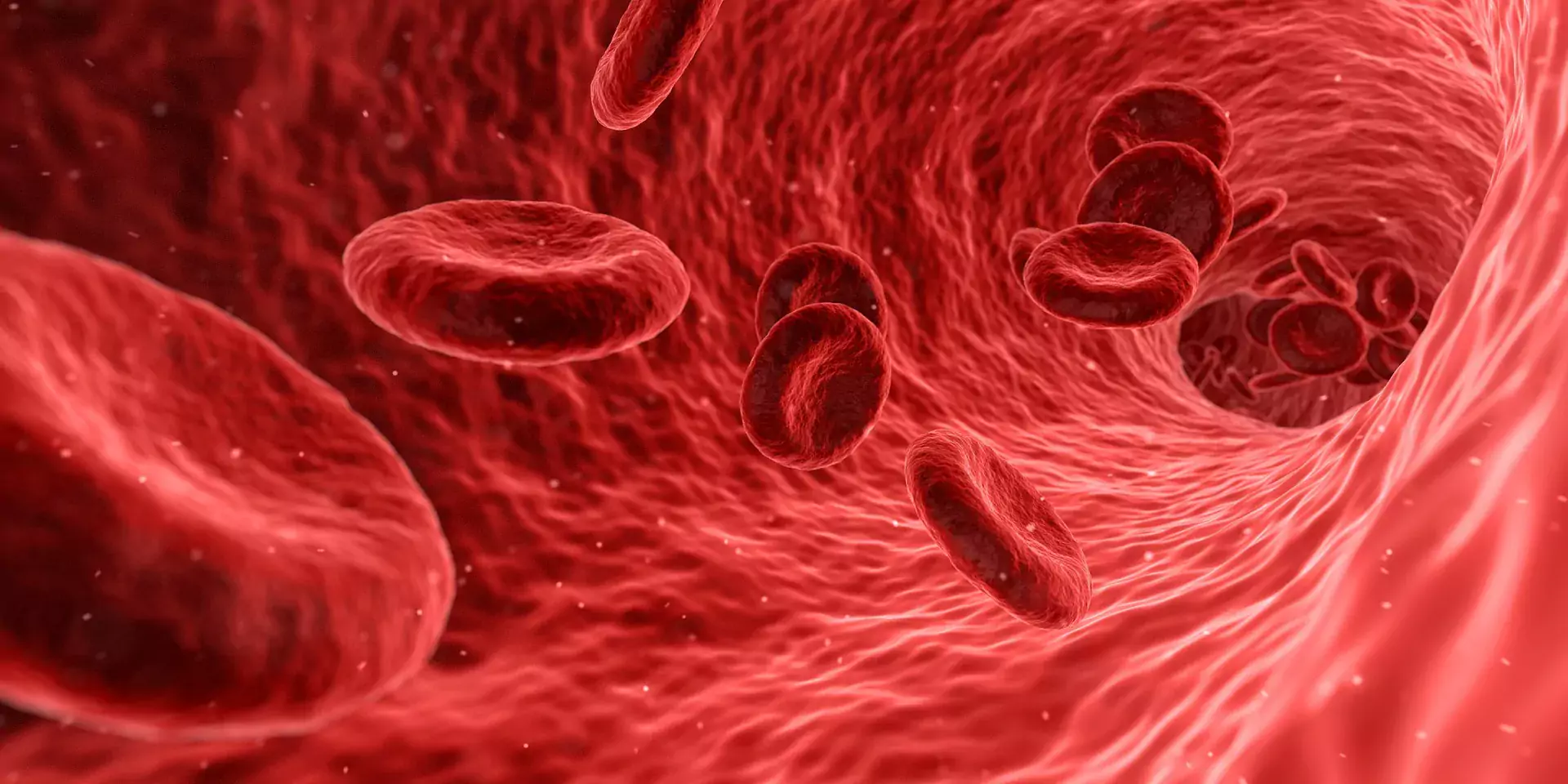 röda blodkroppar