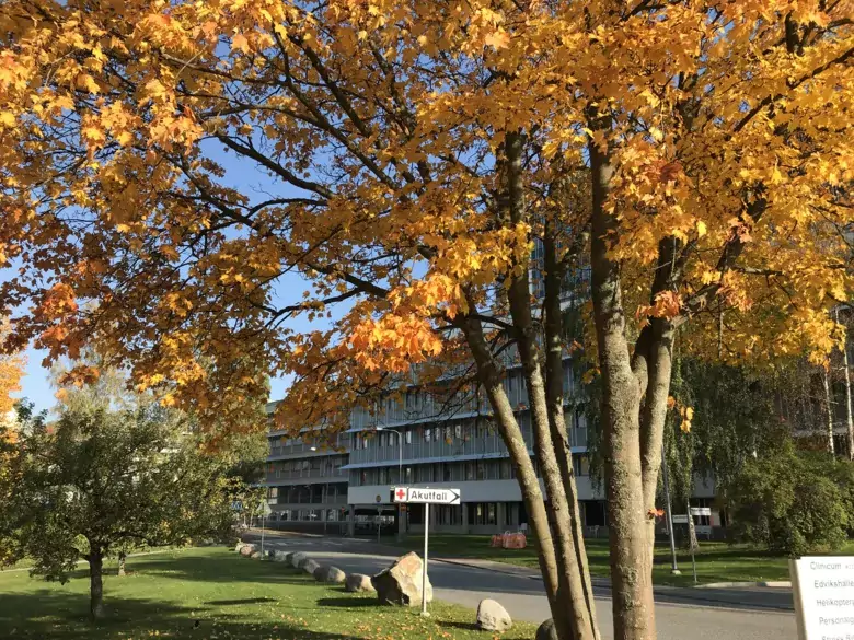 Danderyds hospital at autumn