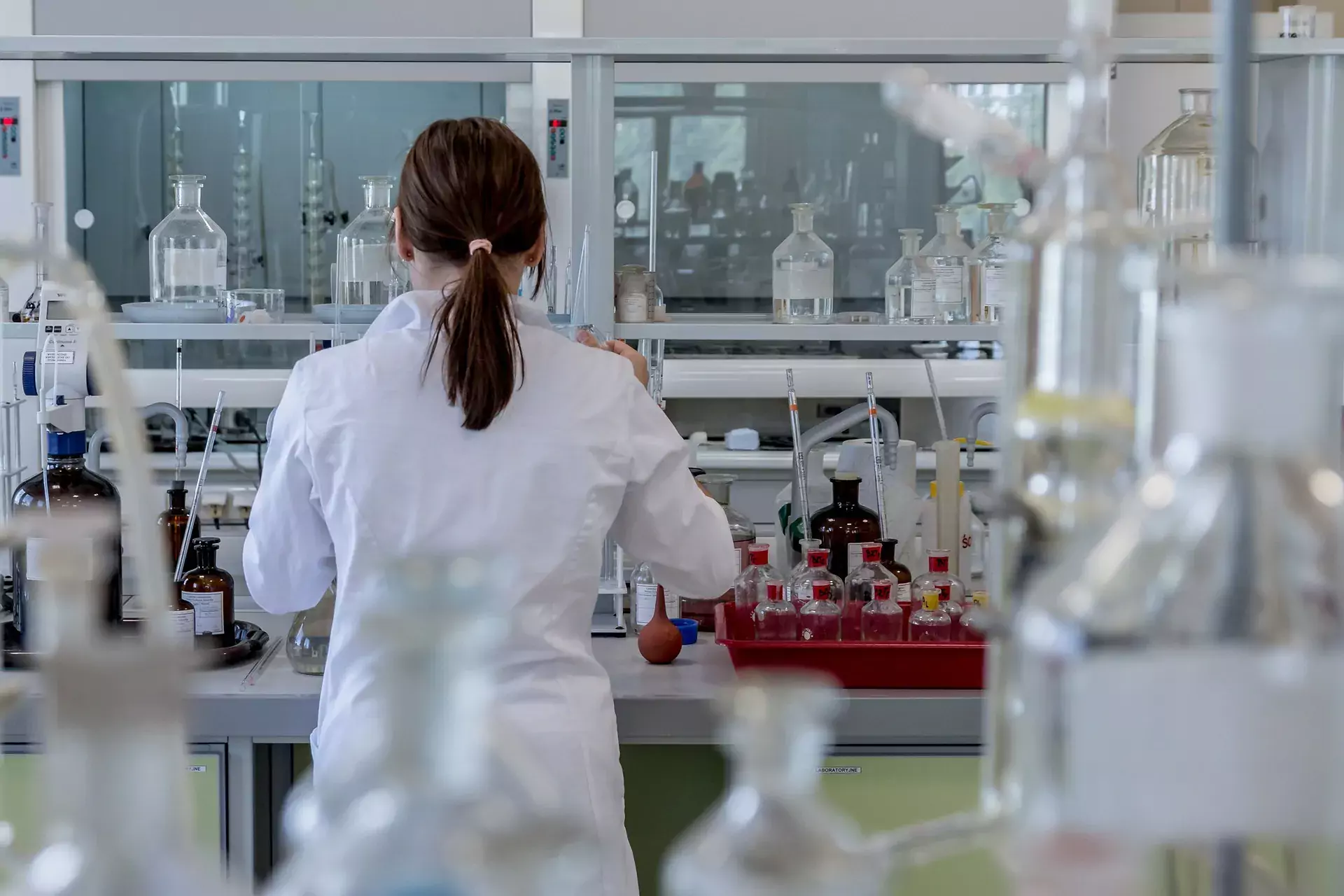 Researcher in lab with her back against the camera