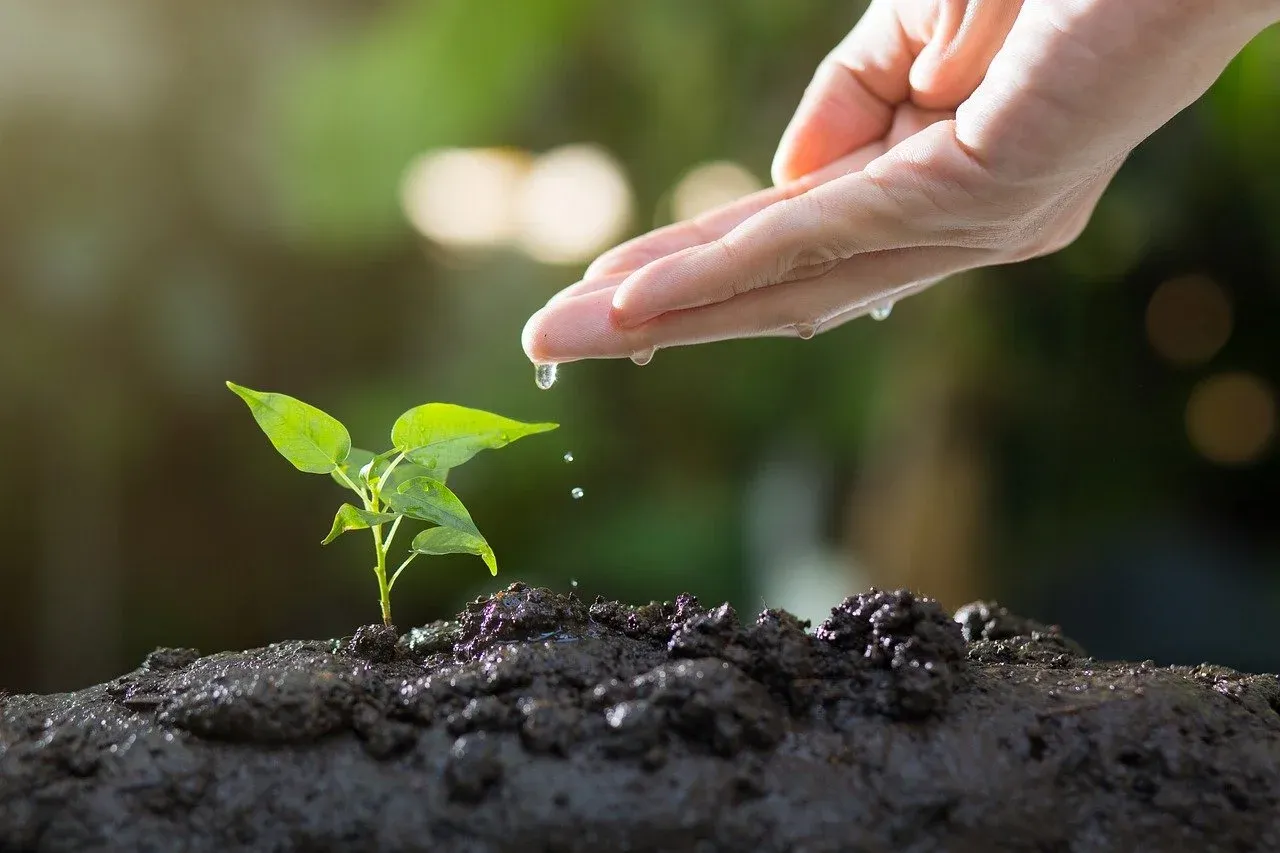 soil grow