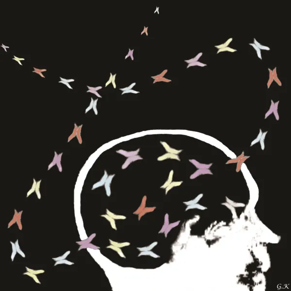 Art: decorative images created using MRI