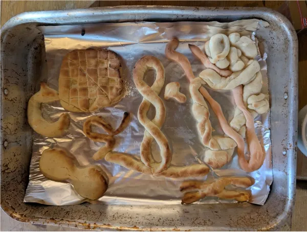 A selection of sugar cookies shaped into various biological structures.