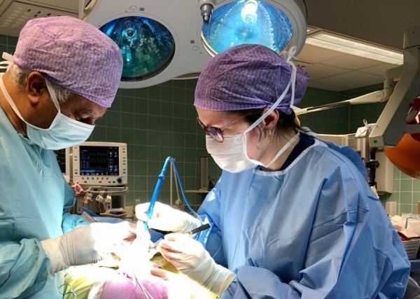 Experimental and Clinical Research, Division of Obstetrics and Gynaecology.