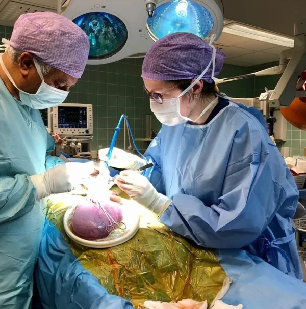 Experimental and Clinical Research, Division of Obstetrics and Gynaecology.