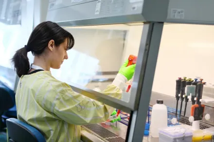 Researcher pipetting red liquid in a LAF bench