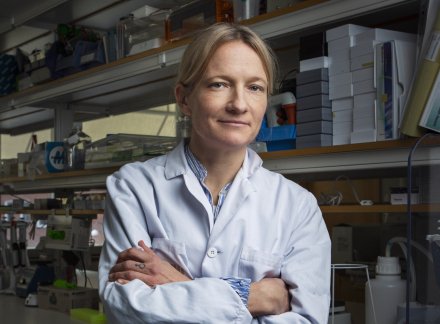 Donation till anorexia nevrosa