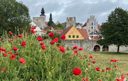 Almedalen i Visby
